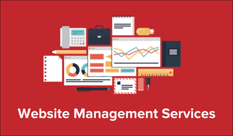 Dịch vụ quản trị website giá rẻ, hiệu quả 2026