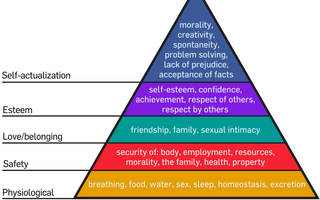 Tháp nhu cầu Maslow 8 bậc: Chi tiết và ứng dụng