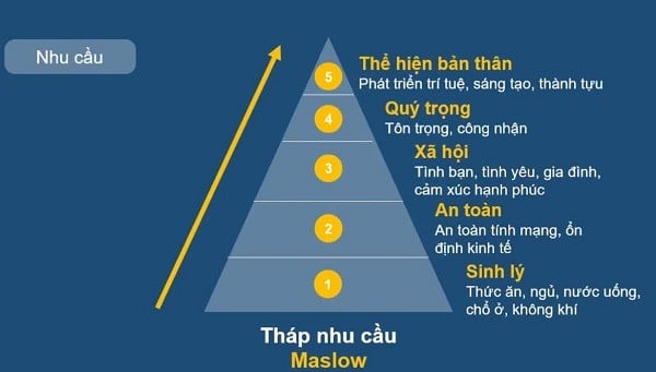 Tháp nhu cầu Maslow 8 bậc: Chi tiết và ứng dụng