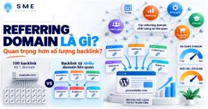 So sánh referring domain và số lượng backlink
