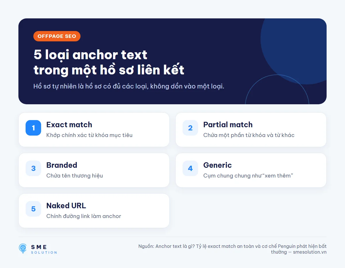 5 loại anchor text trong một hồ sơ liên kết