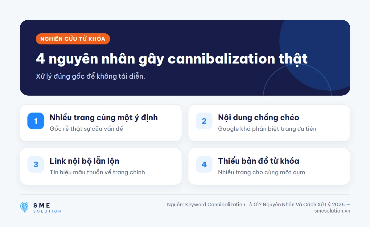 4 nguyên nhân gây cannibalization thật