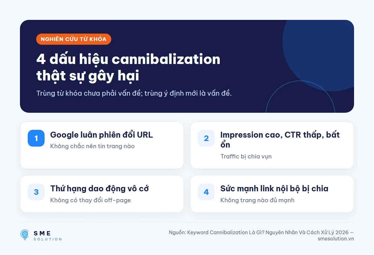 4 dấu hiệu cannibalization thật sự gây hại